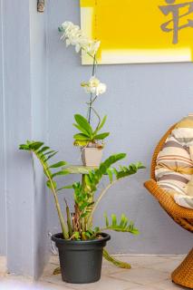 Beira mar pé na areia Barra Velha com Piscina - 4