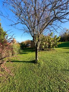 B&BCB - B&B Colli Berici - 5