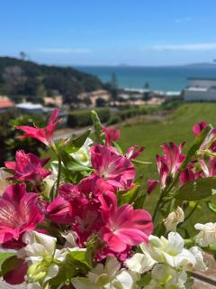 Cable Bay Seaview Beauty - 8