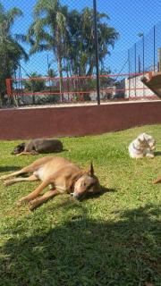Casa 20 pessoas Quadra de Areia Boraceia São Sebastião - 6