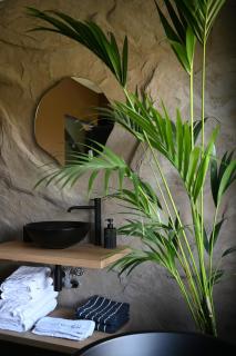 Nordic Star Chalet - 1