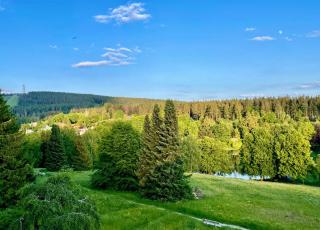 Ferienwohnung Harzurlaub II - 7