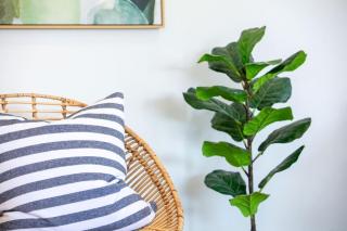 Coastal Drift - by the water - 2