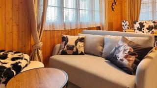 Gemütliche 2-Zimmer Wohnung mir Bergblick - 1