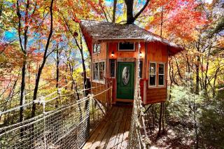 Magical Treehouse Mountain Views Dog Friendly - 9