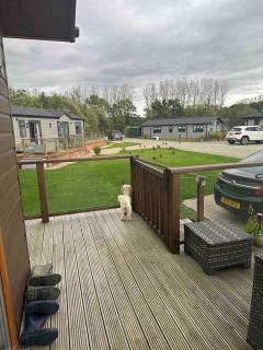 Hunters Lodge - Hot Tub -Pet friendly - Yorkshire - Routh - 4