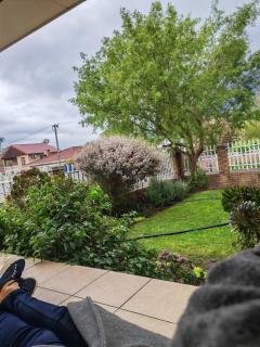 The Palm's on Pastorie - 3