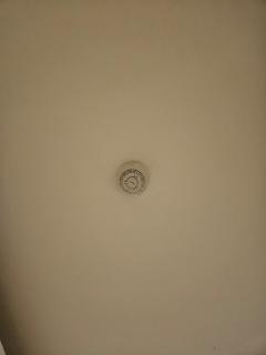 The Room, Central Park Flower Valley - 2