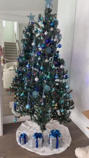 Christmas Escape in Coquitlam Stylish Zen Home with EV Plug In & Trails - 8