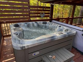 Heavenly Mountain VIew Hot Tub Fire Pit - 9