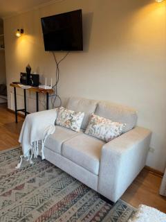 Nevados de chillan , edificio los coigues - 8