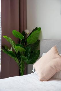 Bright and Cozy City View 3BR Apartment 11605 - 2