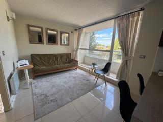 Luminoso y amplio depto cerca Av Alemania - 3