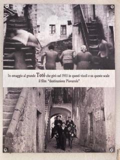 B&B La Suite di Alba - 2