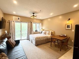 Studio Apt with stunning Mountain Views - 9