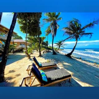 Turtle Beach Sanctuary, Utila - 6