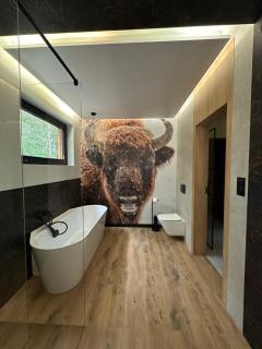 Chata w Puszczy Nowa Łuka - 1