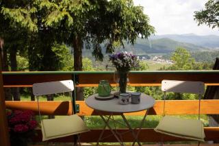 House Zeleni brig - 8