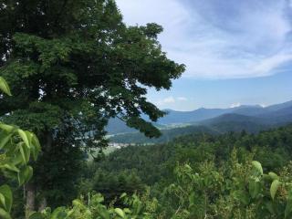 House Zeleni brig - 2