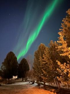 Villa Leaf large private yard private sauna - 9