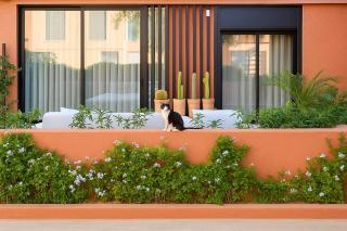 Mounir Hamari - Marrakech - 8