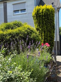 Ferienhaus Auf der Drossel - 4