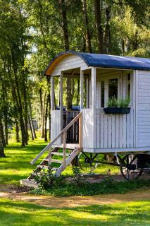 Camping Papillon Kinrooi - Pipowagen 2p terras - 5