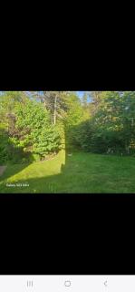 Cozy, Private Basement Suite - 8