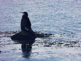 Das Meerchenhaus - 3