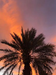 DAR MIRA DUNES Hassilabiad-Merzouga - 5