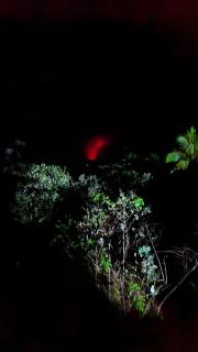 Tanna Lava View Bungalows - 5