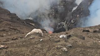 Tanna Lava View Bungalows - 5
