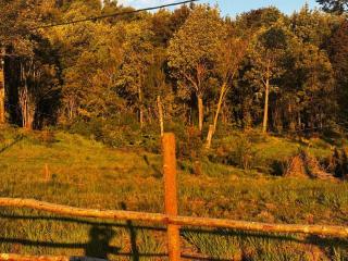 Lodge Laguna escondida - 8