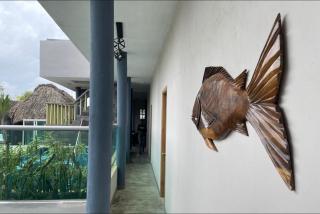 Apartaestudio Terraza del Sol 101 - 1