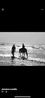 Jusula Beach Bungalows, Sanyang Beach, Free Wifi - 9