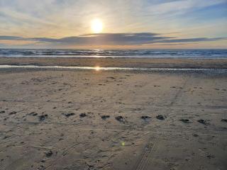 Tranquil Beach Retreat - By Traum Ferienwohnungen - 1