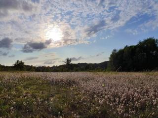 4 person holiday home in Haderslev-By Traum - 2