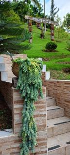 Pousada San Raphael - Suíte Deck 03 - 4