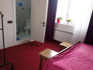 Emir Guest House in Karakol - 1