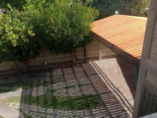 pequeña Allegra 2 - 1