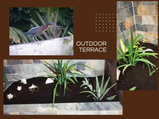 La Case Saint-Pierre - 4