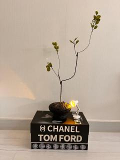 잠실 스테이 - 4