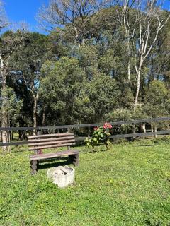 Chalé Solar das Hortênsias - 1