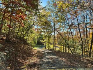 Lily Pad Hideaway on 19 Acres - 6