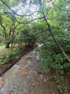 Natural ,Santa Ana Apartamento,Costa Rica - 3