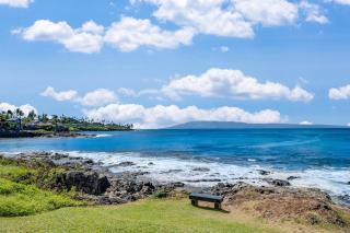 Napili Point A9 · NP A9 OceanFront 1BD Tropical Getaway w Ocean - 6