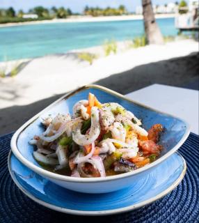 Villa with private pool & amenities in Vista Cana - 7