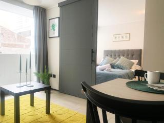 Modern Dept in the center of Stgo - 5