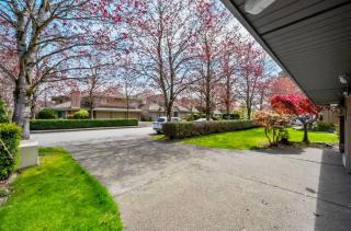 Bright Maple Suite - 2