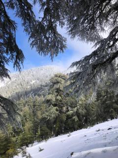 Room with amazing view on mountain Tidghine Ketama - 8